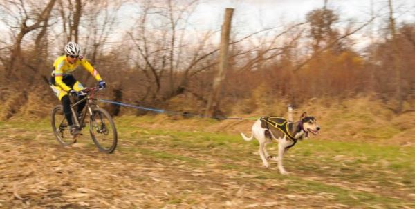 Second Skin Harness - Dog and Bike